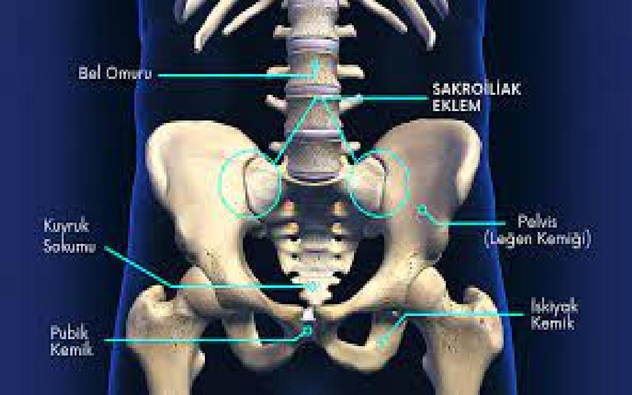 Bel Ve Kalça Problemleri